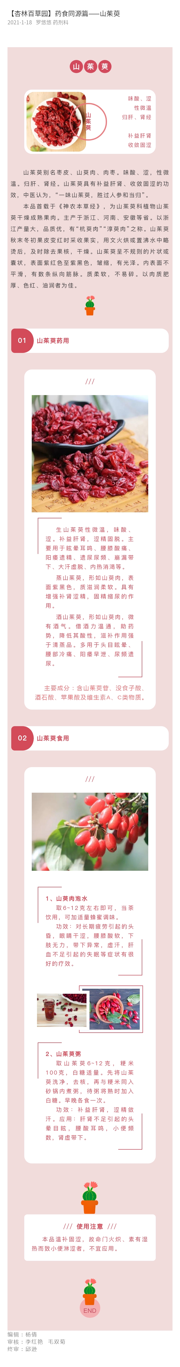 1.18-药剂科 罗悠悠--药食同源篇--山茱萸.jpg