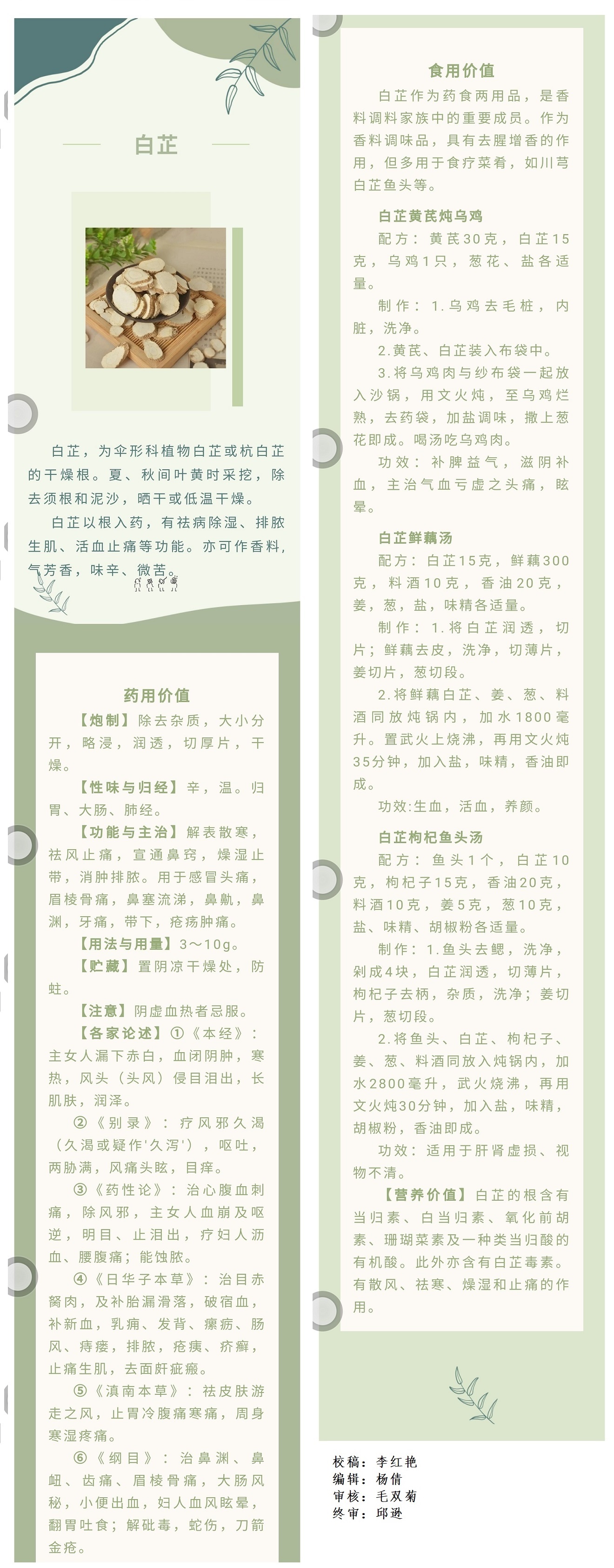 【杏林百草园】药食同源篇--白芷.jpg