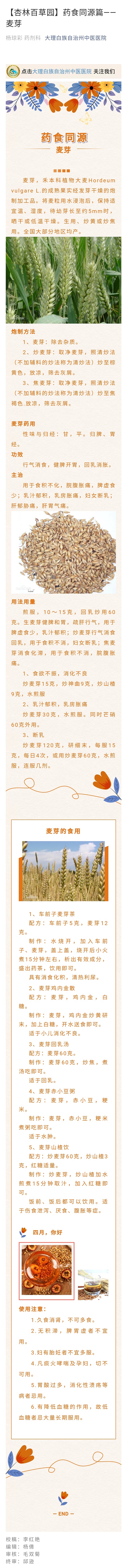 【杏林百草园】药食同源篇--麦芽.jpg